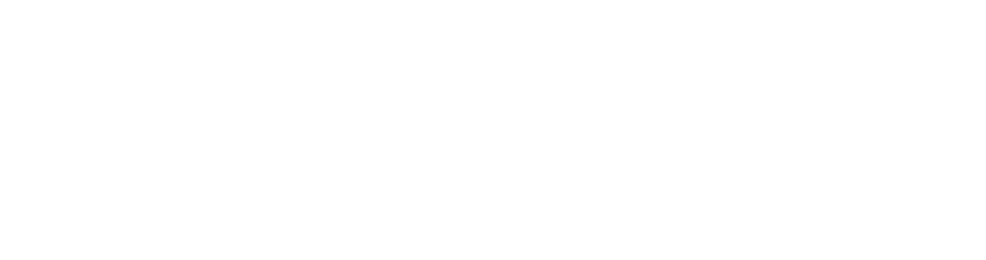 Grupo Ana Cintra