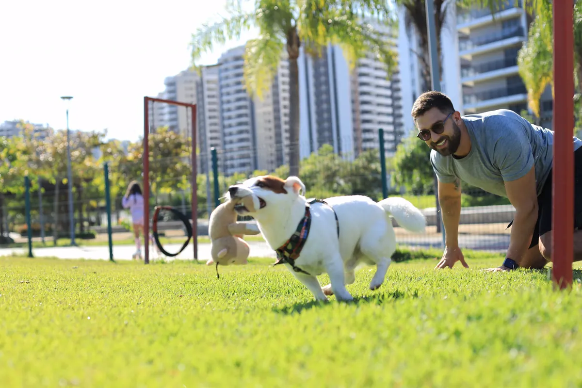 Pet place do Elos